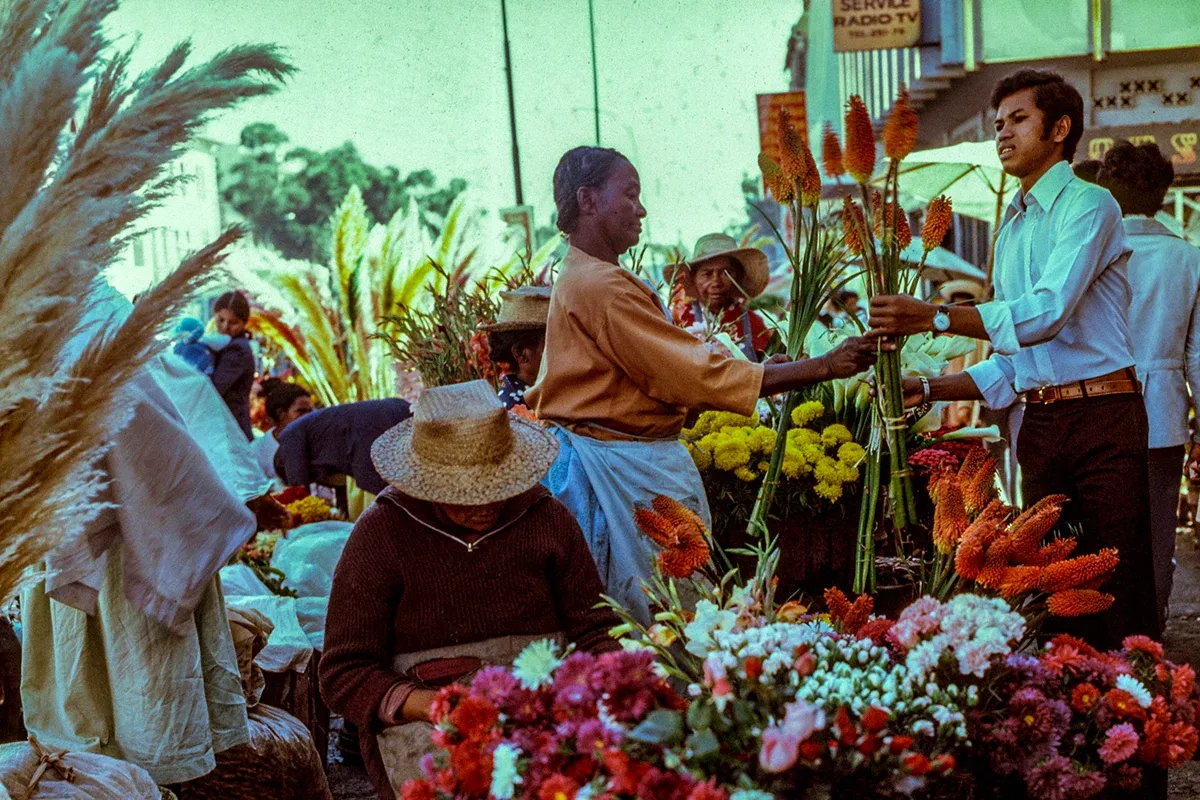 A highland flower market on colour slide film: sellers in straw hats behind banks of red-hot pokers, chrysanthemums and pampas grass, a young man buying a bunch