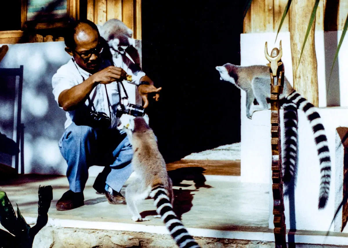 Ndimby Arnold Georges Andriananjason photographing ring-tailed lemurs in Madagascar