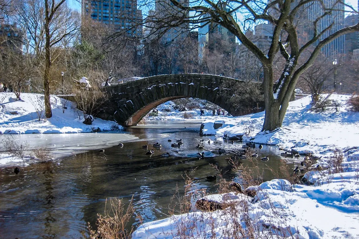 New York City — photograph by Ndimby Arnold Georges Andriananjason