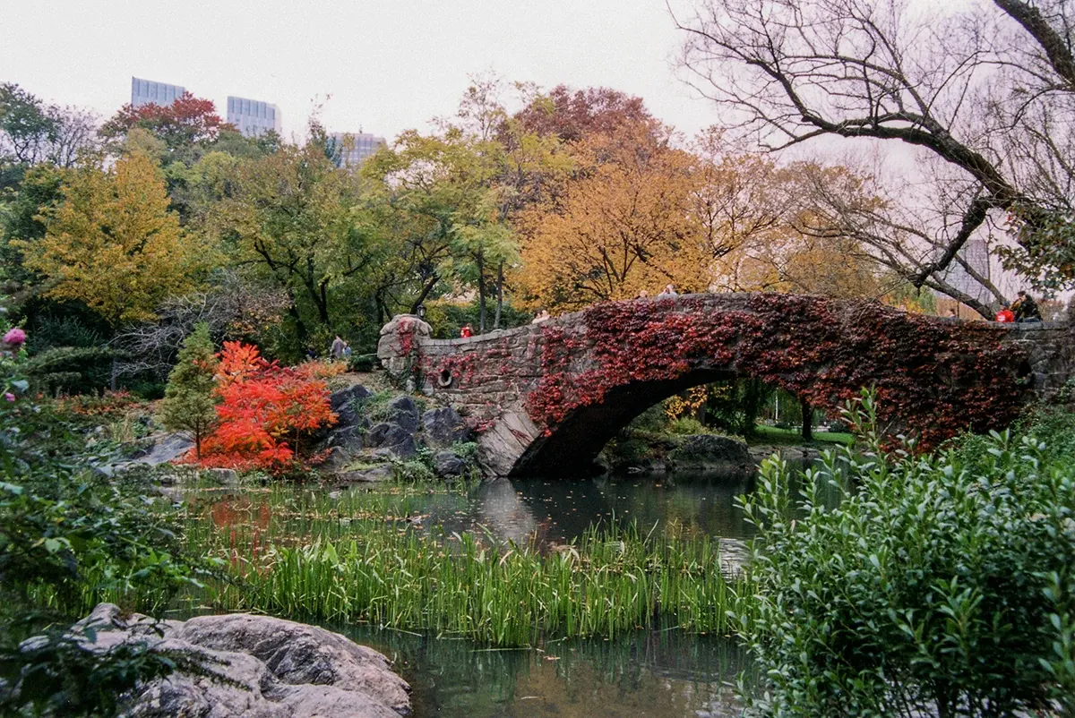 New York City — photograph by Ndimby Arnold Georges Andriananjason