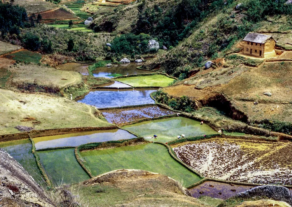 Scenic Landscapes — photograph by Ndimby Arnold Georges Andriananjason