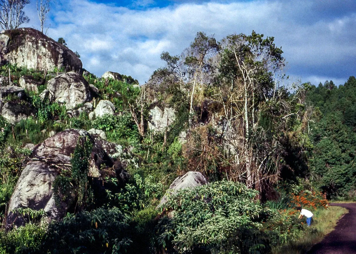 Scenic Landscapes — photograph by Ndimby Arnold Georges Andriananjason